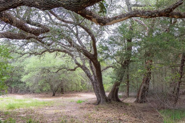 TBD Fm 1094, New Ulm, TX 78950