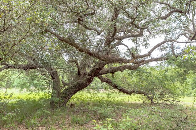 TBD Fm 1094, New Ulm, TX 78950