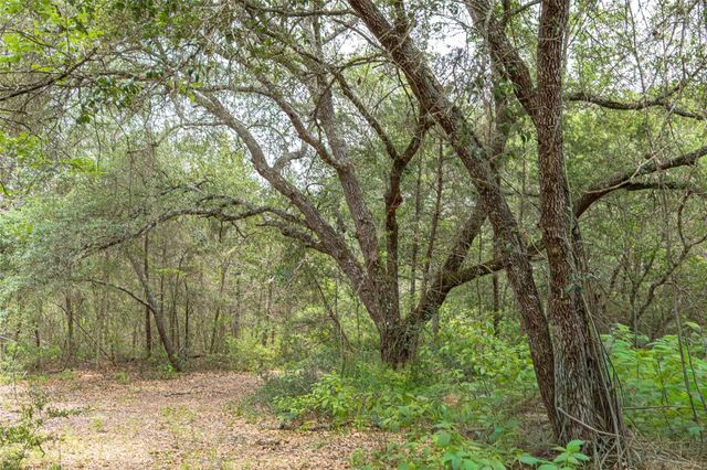 TBD Fm 1094, New Ulm, TX 78950