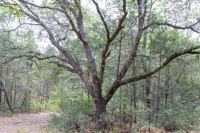 TBD Fm 1094, New Ulm, TX 78950