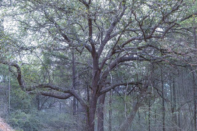 TBD Fm 1094, New Ulm, TX 78950