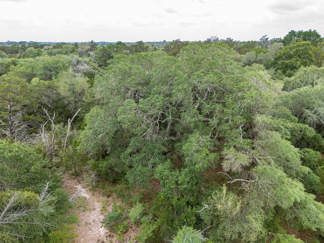 TBD Fm 1094, New Ulm, TX 78950