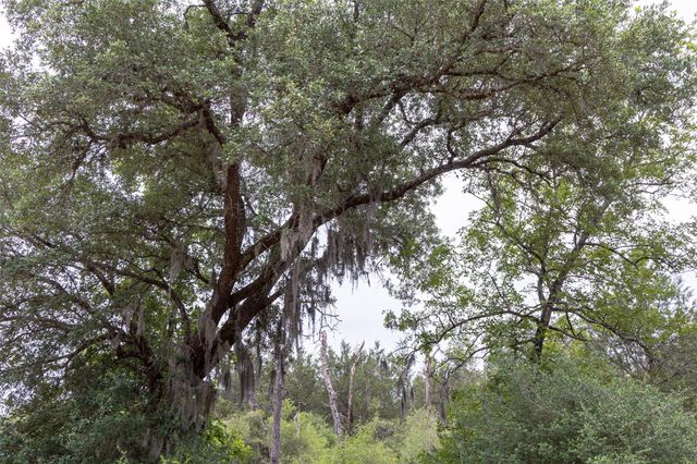 TBD Fm 1094, New Ulm, TX 78950