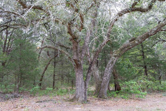 TBD Fm 1094, New Ulm, TX 78950