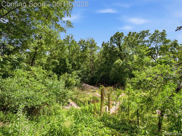 14478 Bouchner Drive, Argentine Township, MI 48451