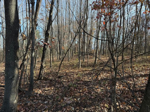 7212 Wood Haven RD, Roanoke, VA 24019