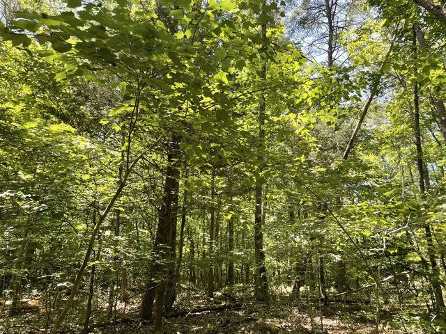0 Tate Trl, Sewanee, TN 37375
