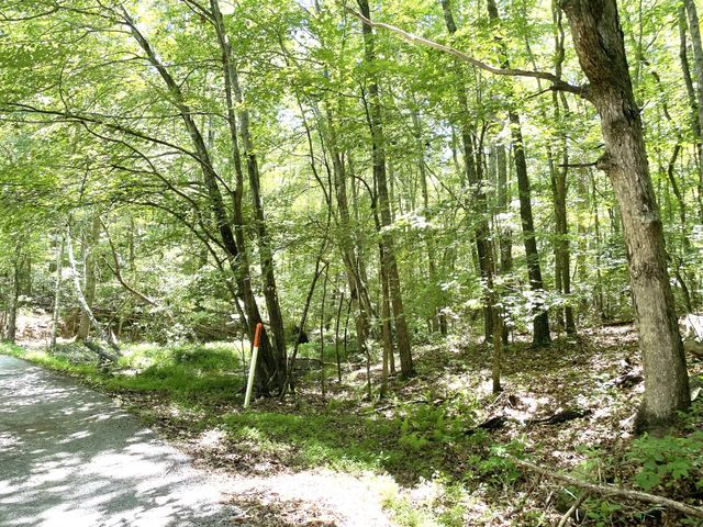 0 Tate Trl, Sewanee, TN 37375