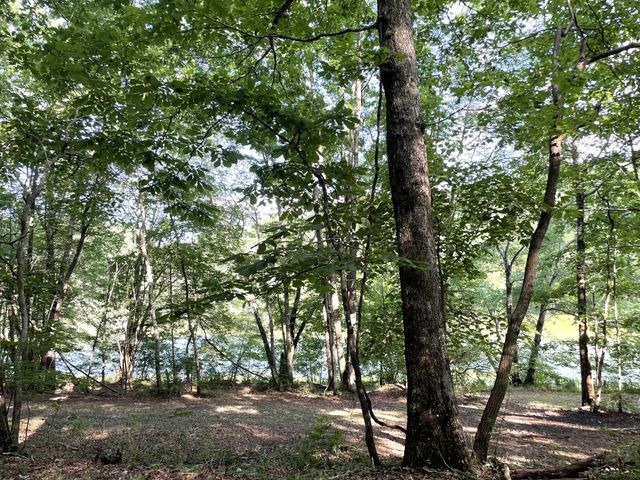 0 Tate Trl, Sewanee, TN 37375