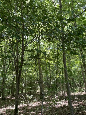0 Tate Trl, Sewanee, TN 37375