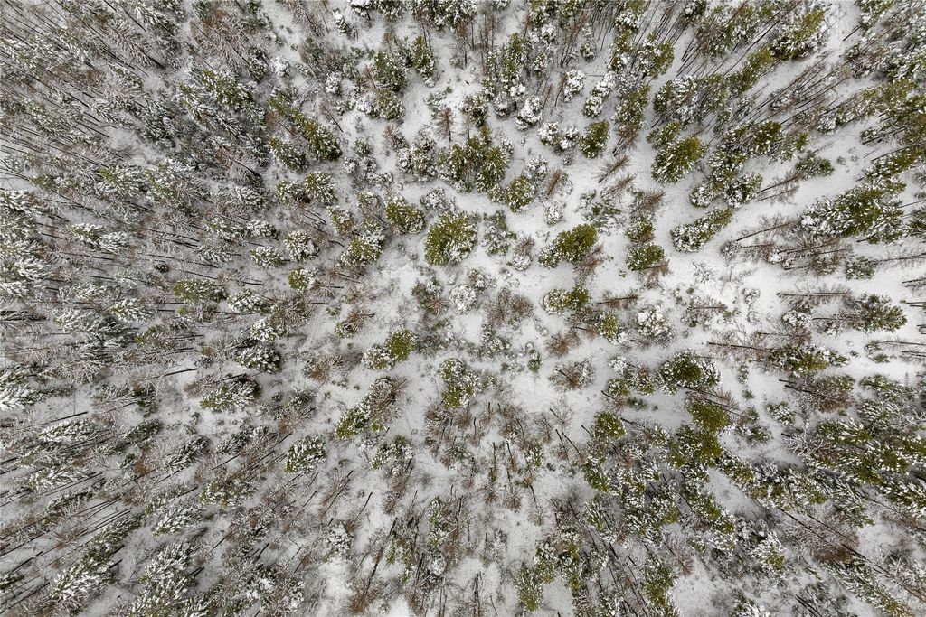 2800 Foys Lake Road, Kalispell, MT 59901 photo 18