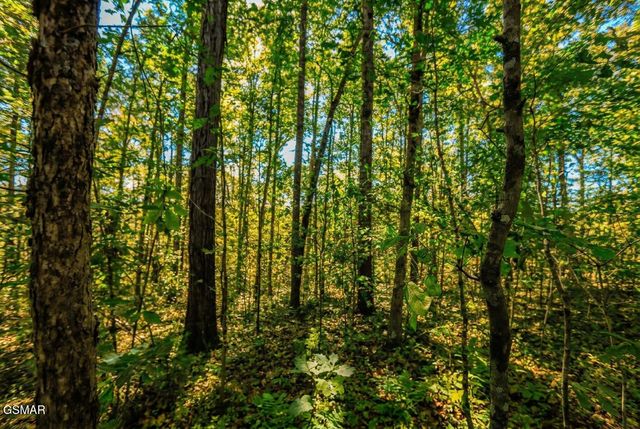 1413 Timber Trail, Newport, TN 37821