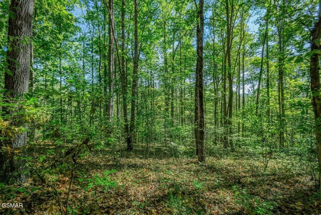 1413 Timber Trail, Newport, TN 37821