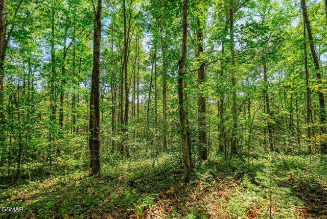 1413 Timber Trail, Newport, TN 37821