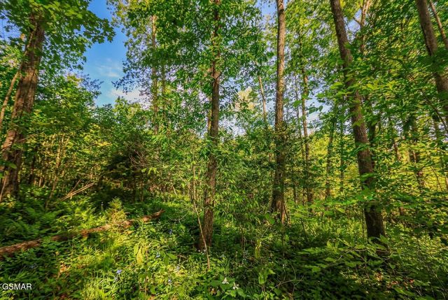 1413 Timber Trail, Newport, TN 37821