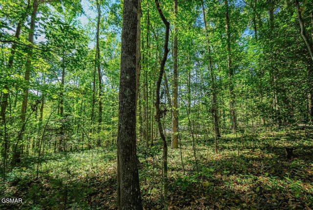 1413 Timber Trail, Newport, TN 37821