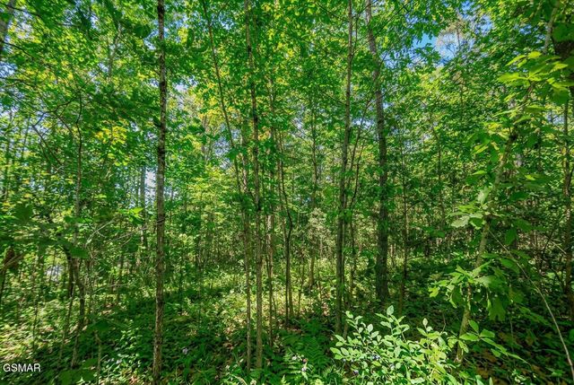 1413 Timber Trail, Newport, TN 37821