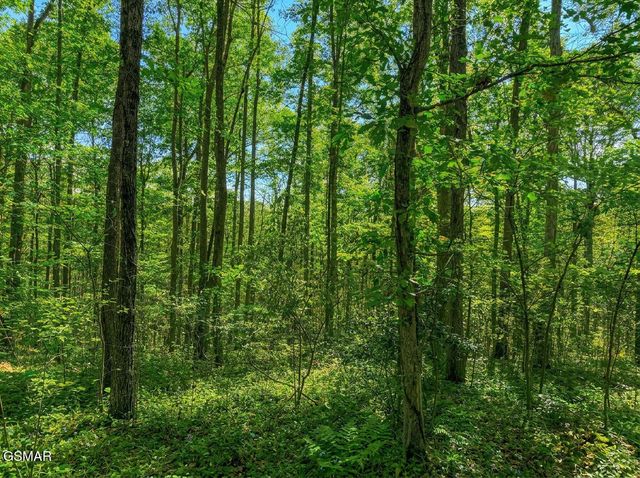 1413 Timber Trail, Newport, TN 37821