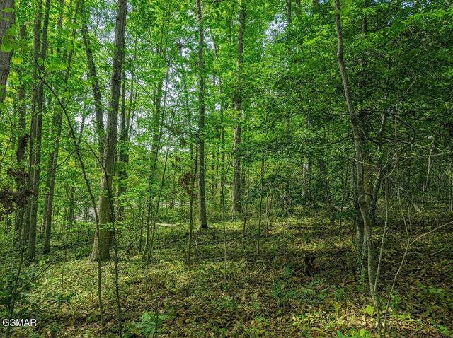 1413 Timber Trail, Newport, TN 37821