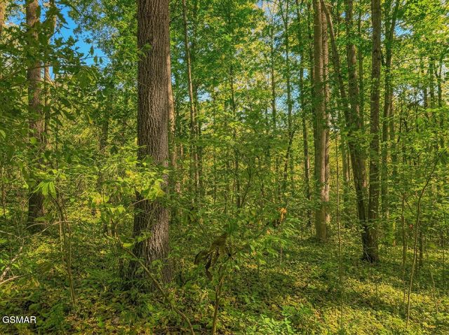 1413 Timber Trail, Newport, TN 37821