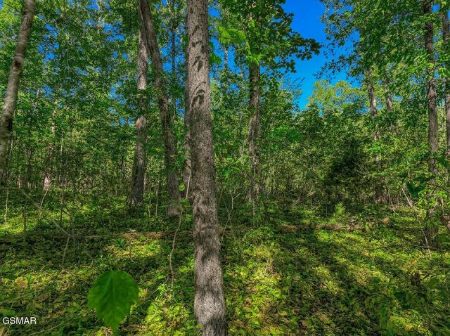 1413 Timber Trail, Newport, TN 37821