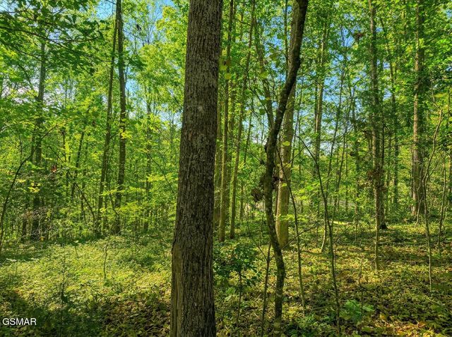 1413 Timber Trail, Newport, TN 37821