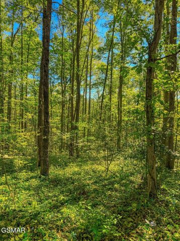 1413 Timber Trail, Newport, TN 37821