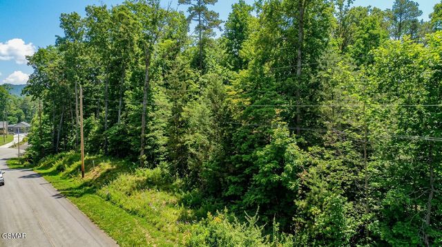 1413 Timber Trail, Newport, TN 37821