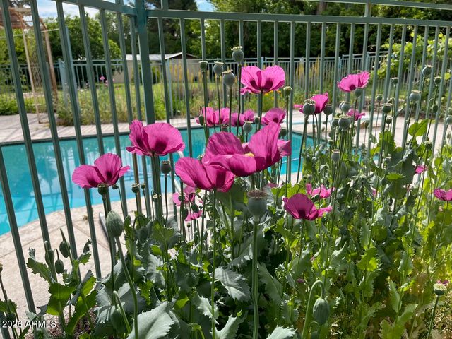 6055 N 2nd Street, Phoenix, AZ 85012