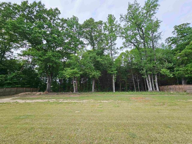 50 McKaskle Cove, Greenbrier, AR 72058