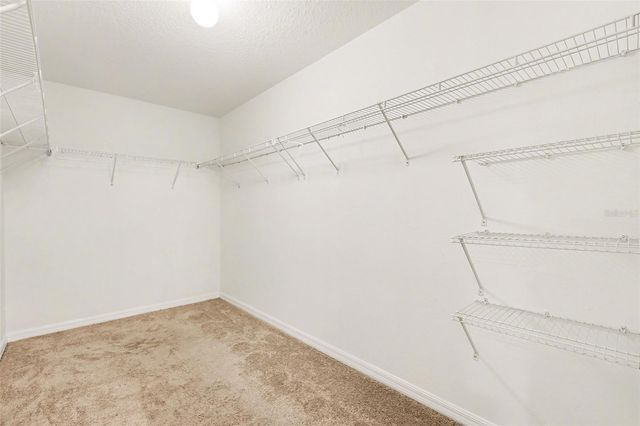 10305 BOGGY MOSS DRIVE, Riverview, FL 33578