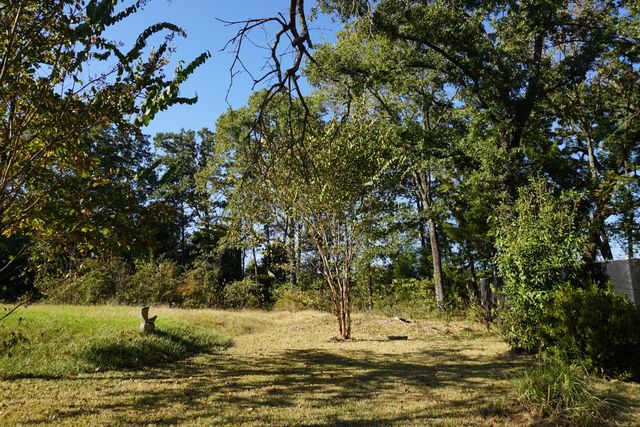 1688 Doc Holiday Dr, Log Cabin, TX 75148