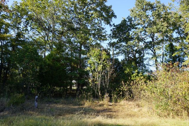 1688 Doc Holiday Dr, Log Cabin, TX 75148