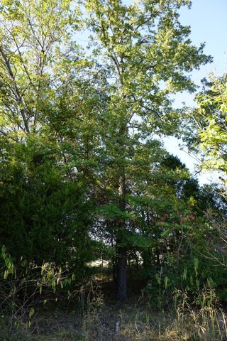 1688 Doc Holiday Dr, Log Cabin, TX 75148