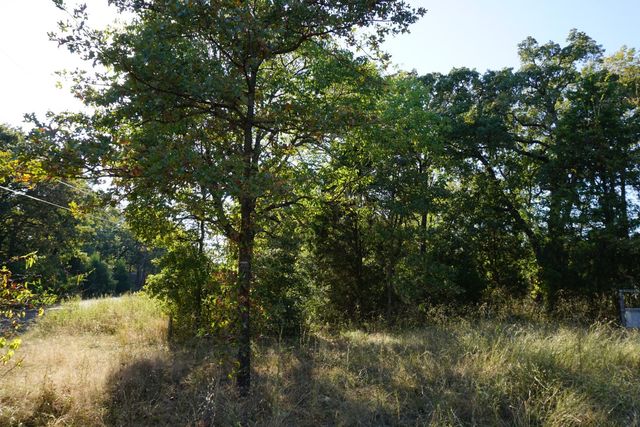 1688 Doc Holiday Dr, Log Cabin, TX 75148