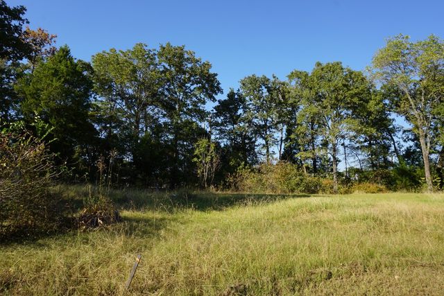 1688 Doc Holiday Dr, Log Cabin, TX 75148