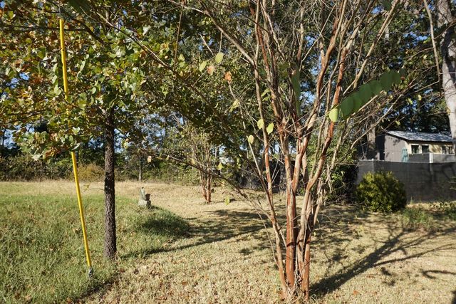 1688 Doc Holiday Dr, Log Cabin, TX 75148