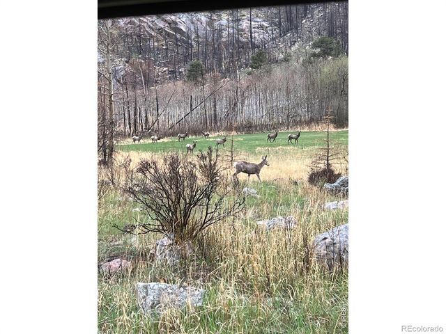 44174 Poudre Canyon Road, Bellvue, CO 80512