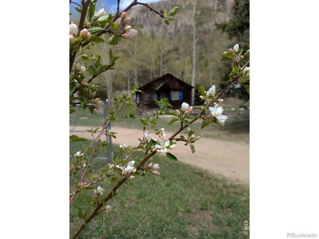 44174 Poudre Canyon Road, Bellvue, CO 80512