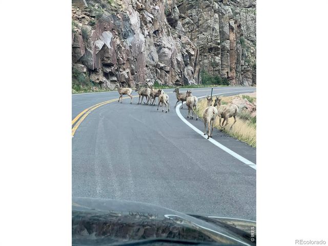 44174 Poudre Canyon Road, Bellvue, CO 80512