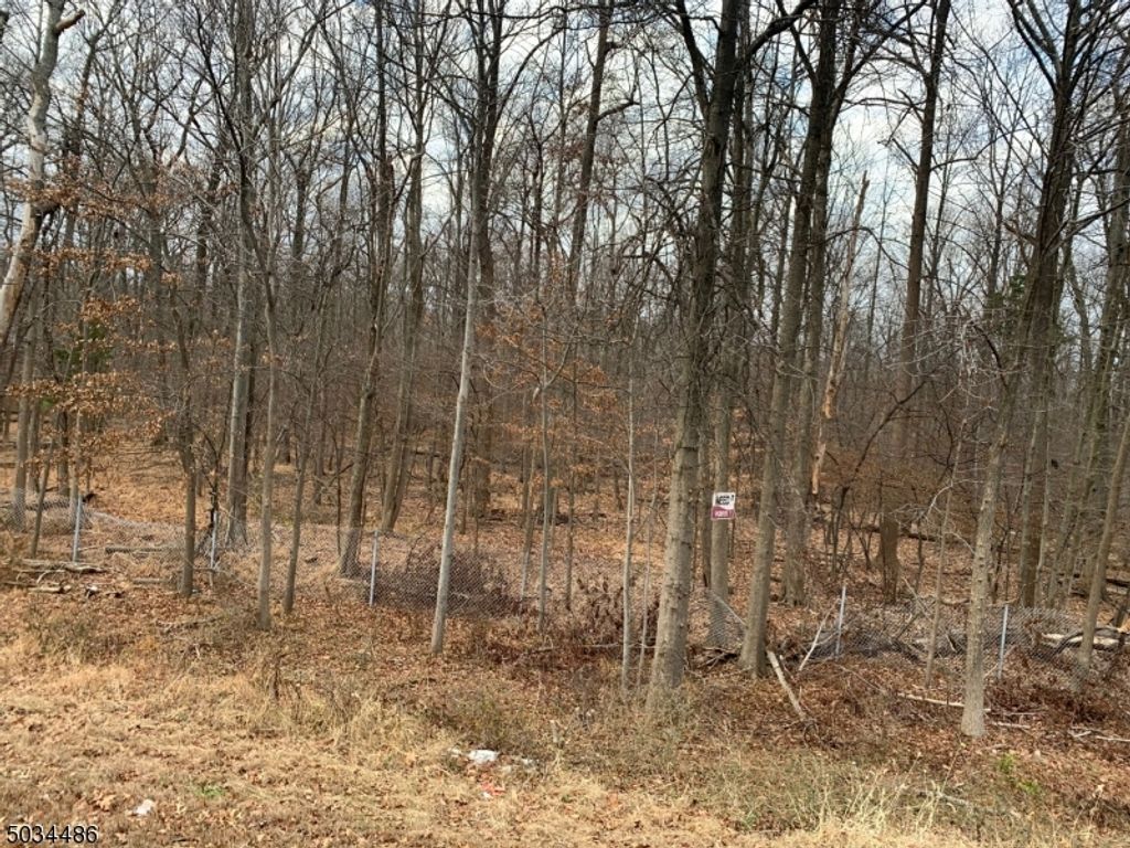 999 Drift Road, Watchung Boro, NJ 07922 — photo 3