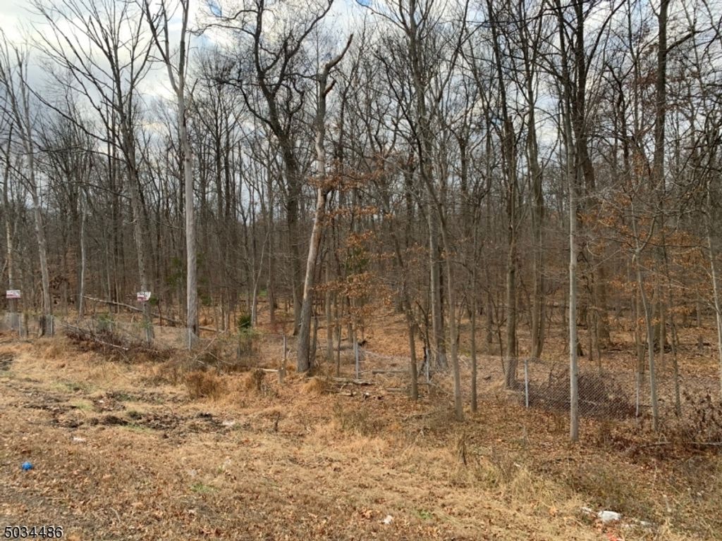 999 Drift Road, Watchung Boro, NJ 07922 — photo 4