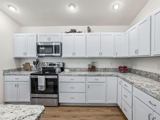 3377 CLARA COURT, The Villages, FL 32163