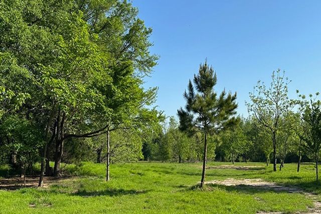 34.65 AC CR 4885, Winnsboro, TX 75494