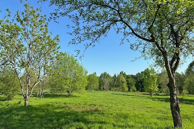 34.65 AC CR 4885, Winnsboro, TX 75494
