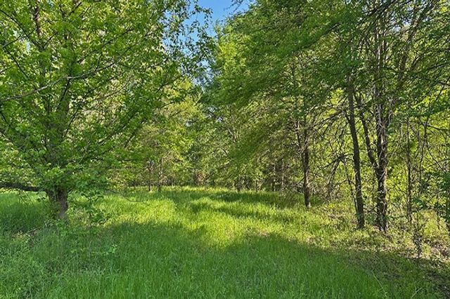 34.65 AC CR 4885, Winnsboro, TX 75494