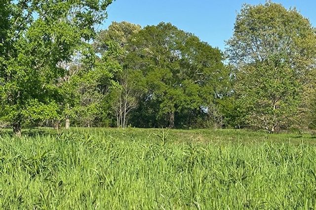 34.65 AC CR 4885, Winnsboro, TX 75494