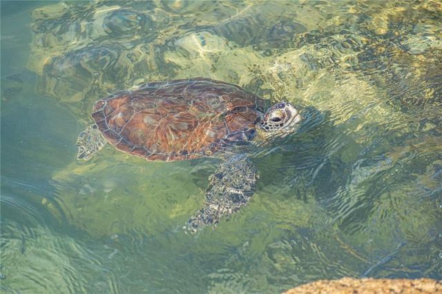 1315 Bayshore Drive 204, Fort Pierce, FL 34949