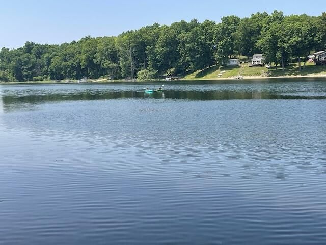 8771 Chain O Lakes Drive, Delton, MI 49046