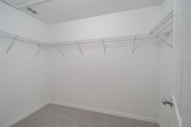 10116 TRUMPET HONEYSUCKLE WAY, Wesley Chapel, FL 33545